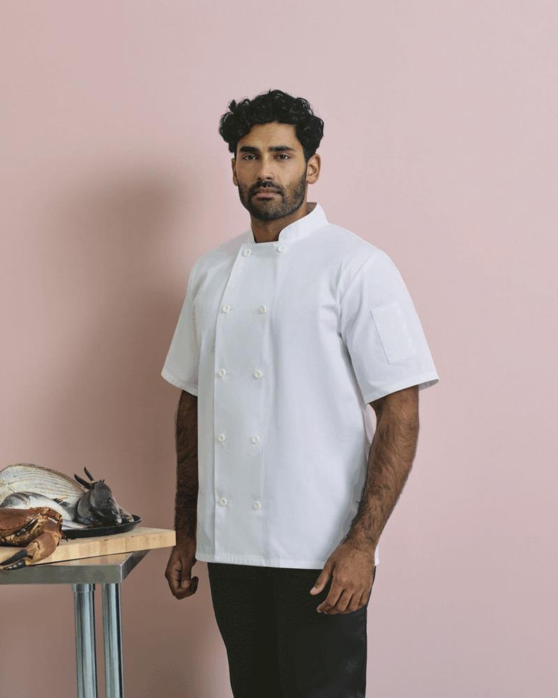 PR656M - SHORT SLEEVE CHEFS JACKET