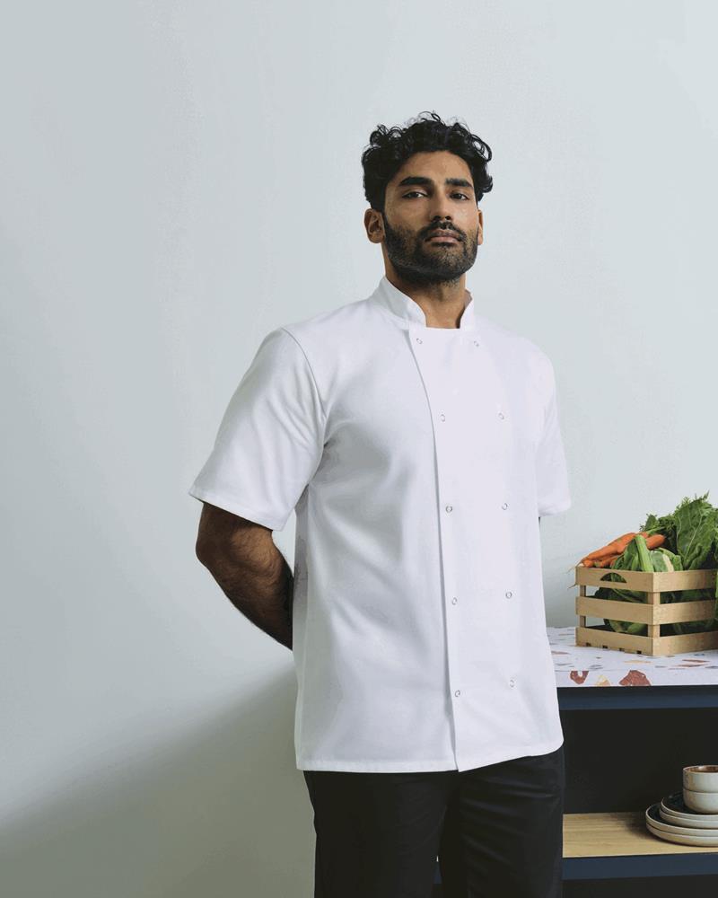 PR664M - STUD SHORT SLEEVE CHEF JACKET