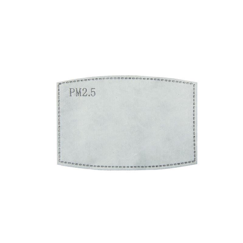 Premier PPS PM2.5 ACTIVATED CARBON FILTER