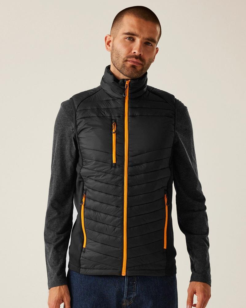 Regatta MENS NAVIGATE HYBRID BODYWARM